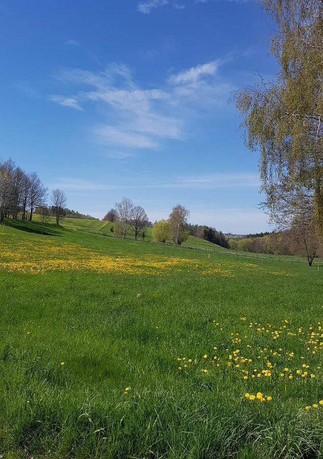 Ferienhaus Polly Rabenau ภายนอก รูปภาพ