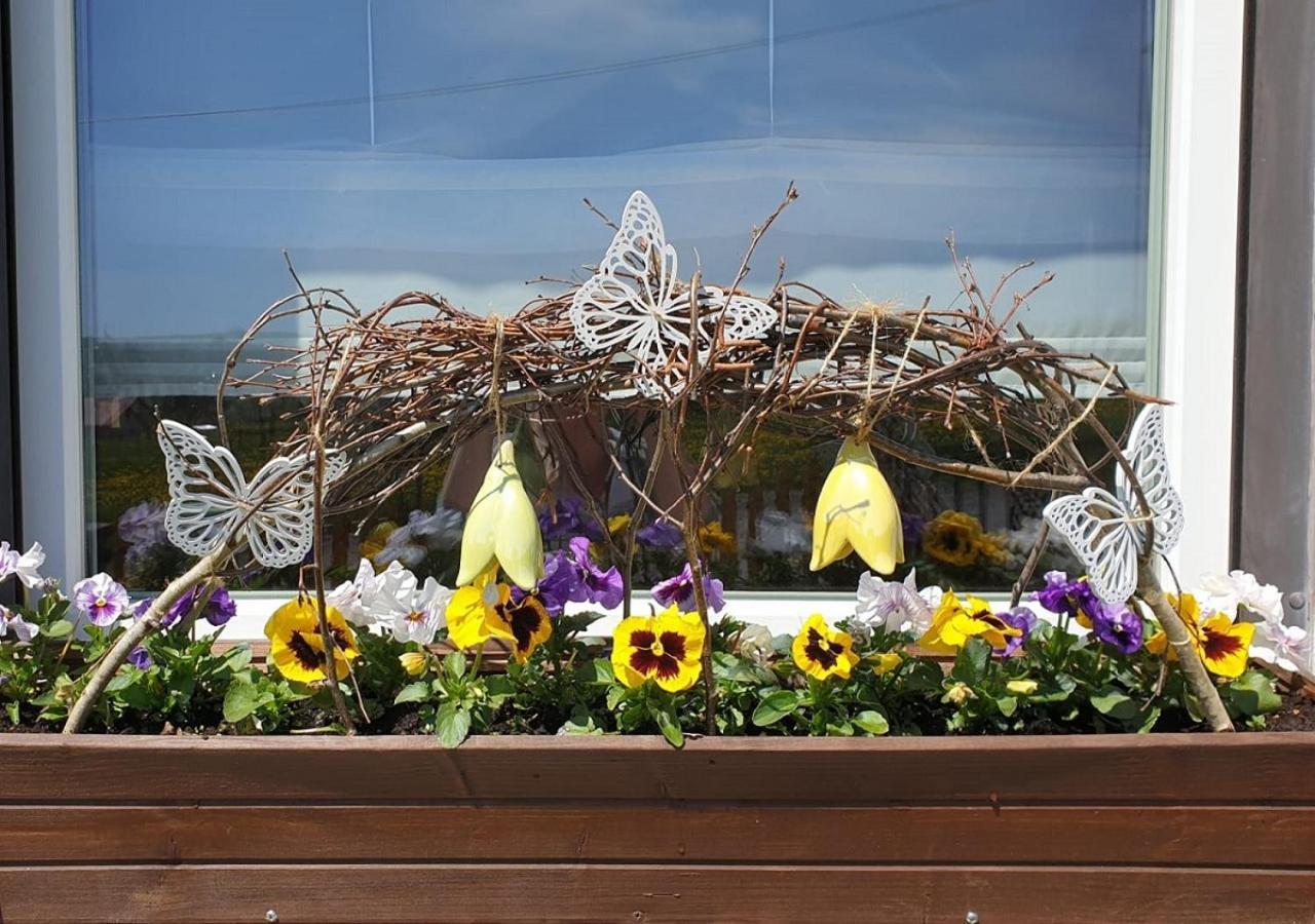 Ferienhaus Polly Rabenau ภายนอก รูปภาพ